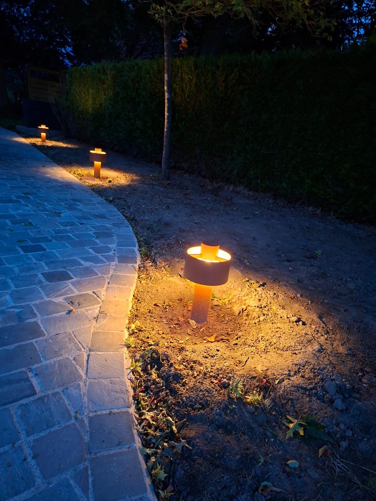 Verlichting Tuinpad